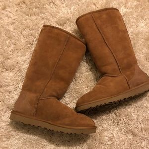Chestnut Tall Classic Uggs